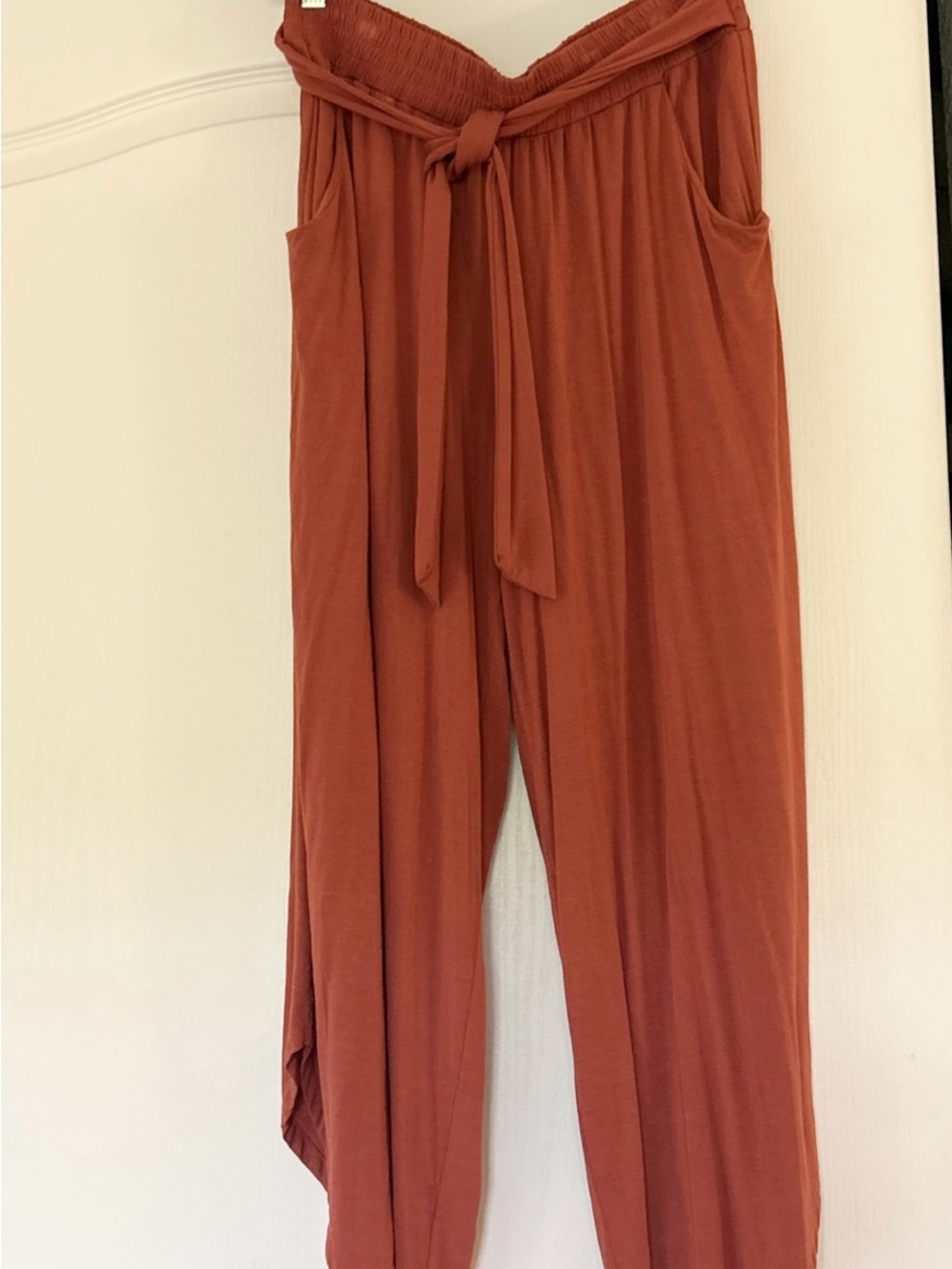 Rust Wide-Leg pants with Tie Waist in front.   Slits on side of pants.
